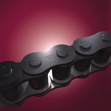 Renold SD chain.
